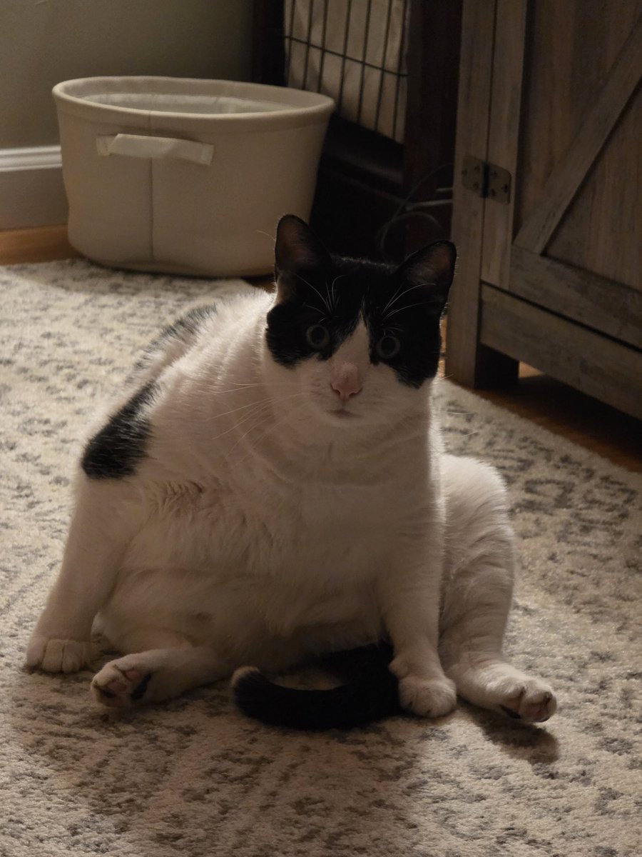 OddsReadEven's tweet image. Niko's signature Bowling Ball stance