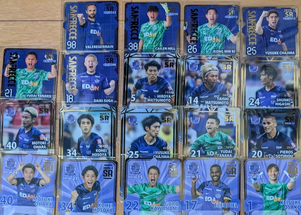 サンフレッチェ広島　オンサイトカード　MRフレッチェ サンフレッチェ広島 オンサイトカード MRフレッチェ