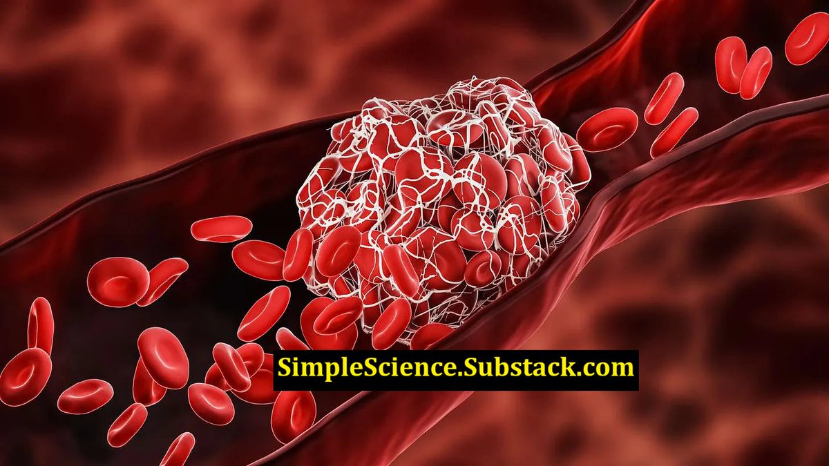 Ray Armat, Ph.D. tweet media