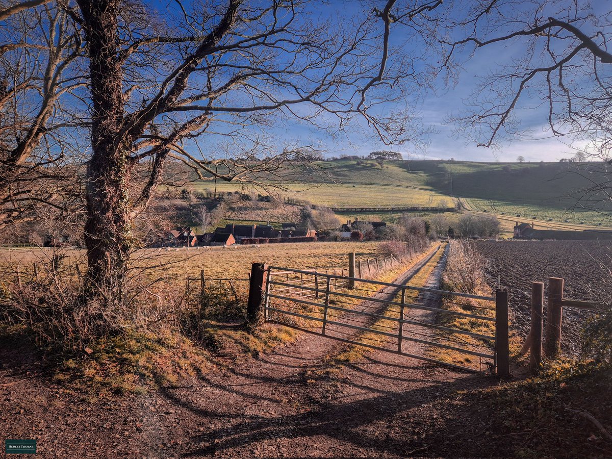 𝙃𝙚𝙙𝙡𝙚𝙮 𝙏𝙝𝙤𝙧𝙣𝙚 tweet media