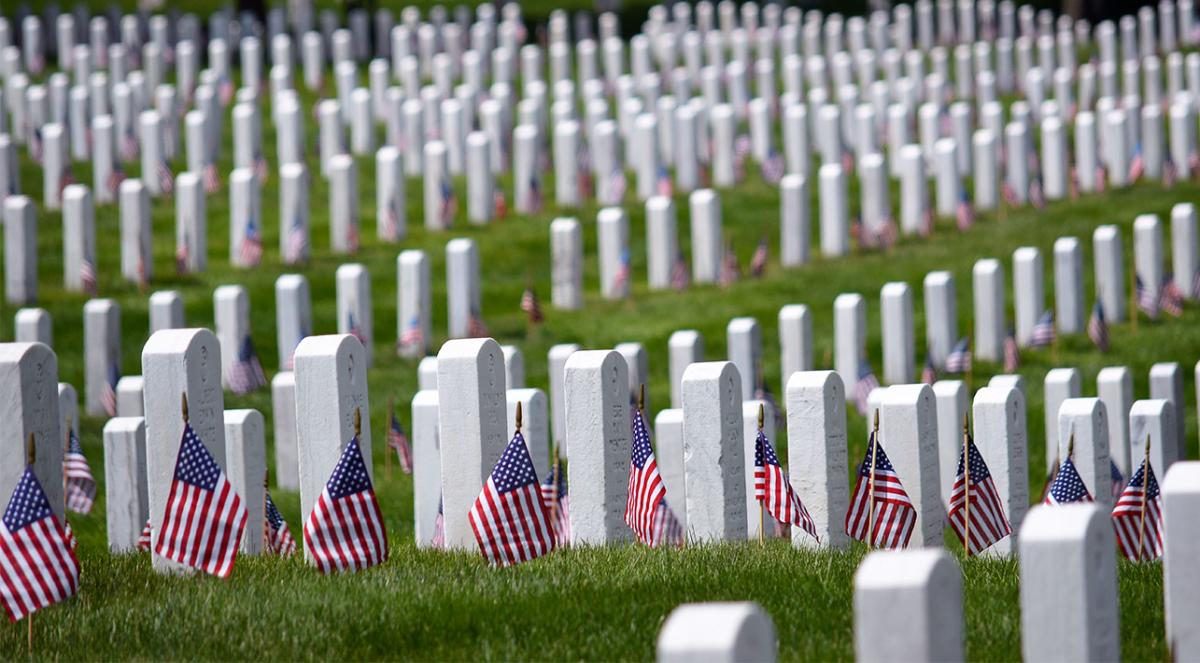 zephrzne's tweet image. 