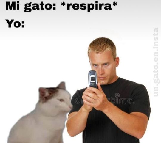 Frases Barbie (@barbie_context) on Twitter photo 