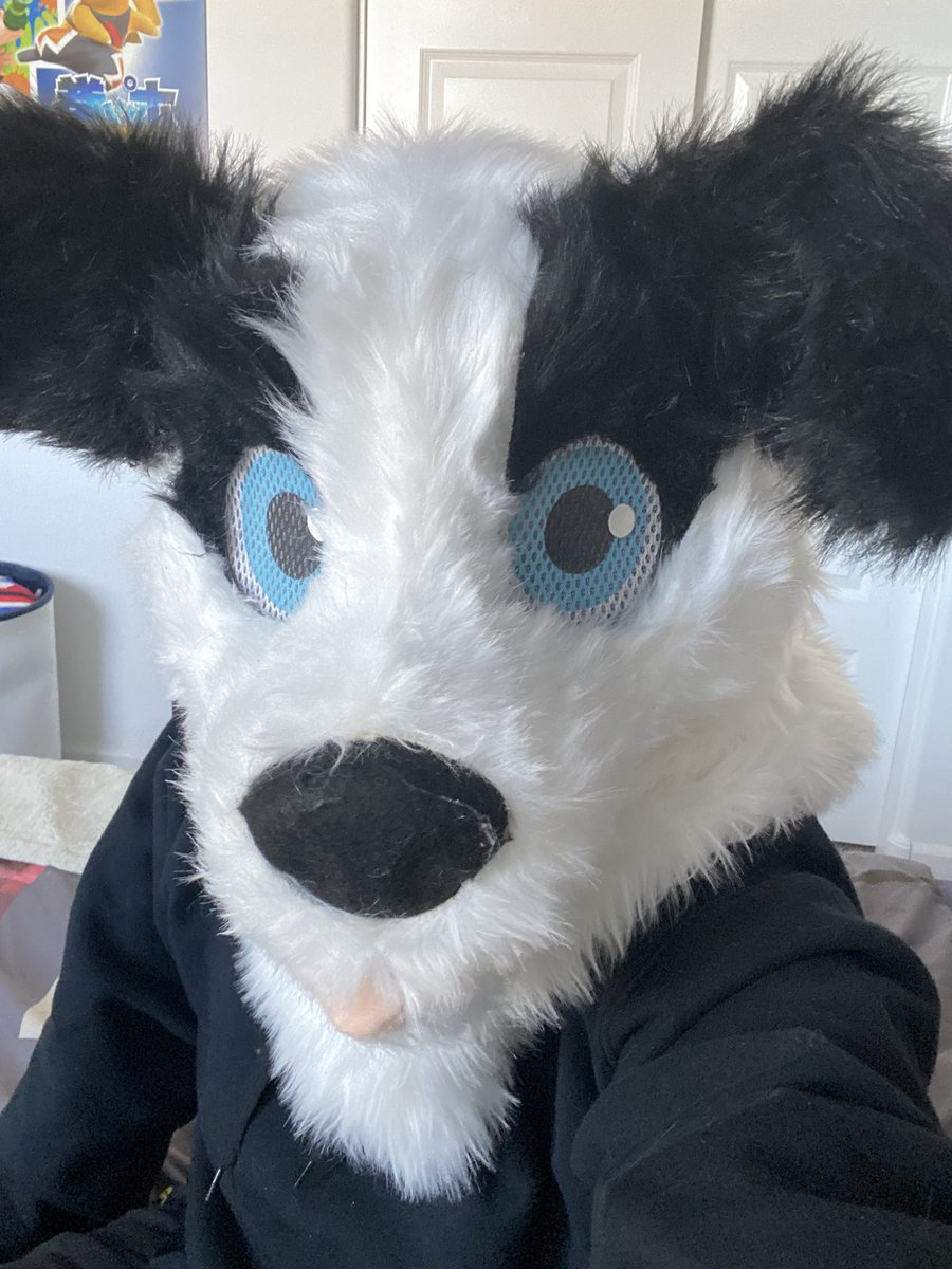 Jacob Gray Wolf tweet media