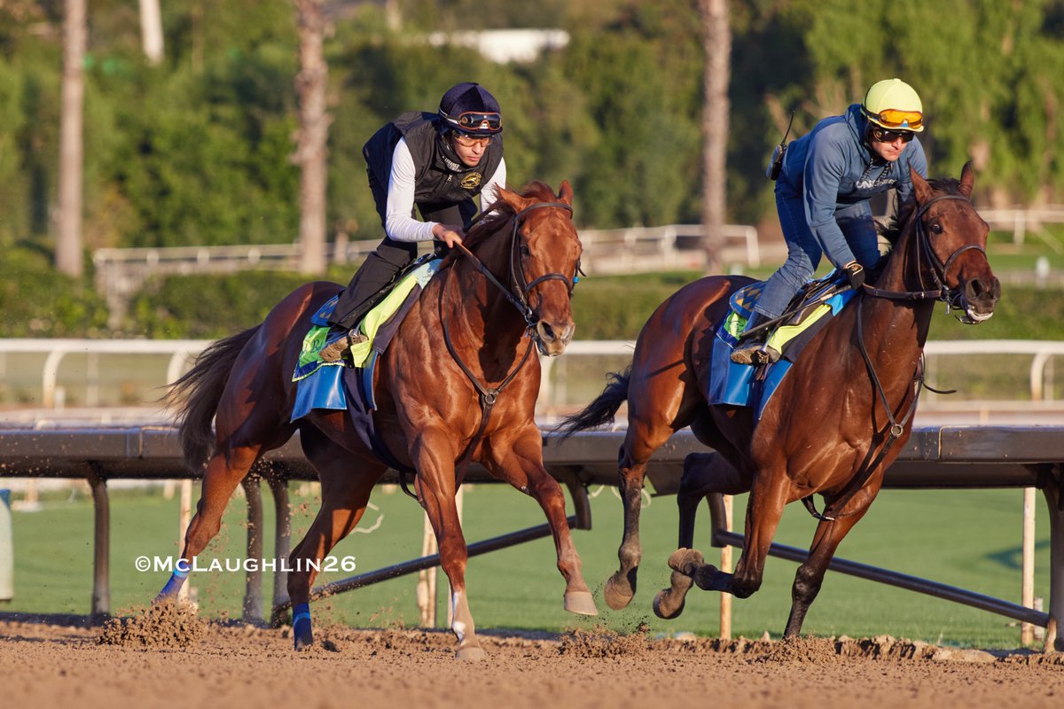 kimo16's tweet image. Bullet half in 48.60 on the 8th for Boyd under Abdul Alsagoor working out side of Nimah with Juan Ochoa in the irons for HoF trainer Bob Baffert @santaanitapark @ZedanRacing @BobBaffert @QusoorAl