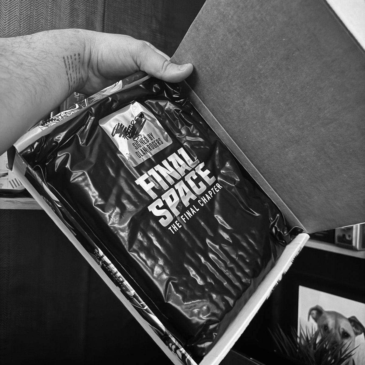 Happy Final Space Friday!
We’ve been sending test packages with novels all over the world to close friends to see which packaging actually survives the journey. I ordered at least five different box styles and somehow the box made specifically for novels turned out to be the