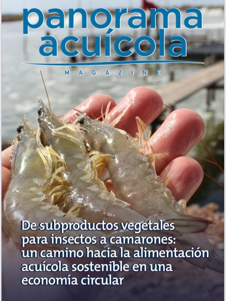 🐟🦐🅰️cuicultur🅰️🦐 🐟 (@mlub10) on Twitter photo 