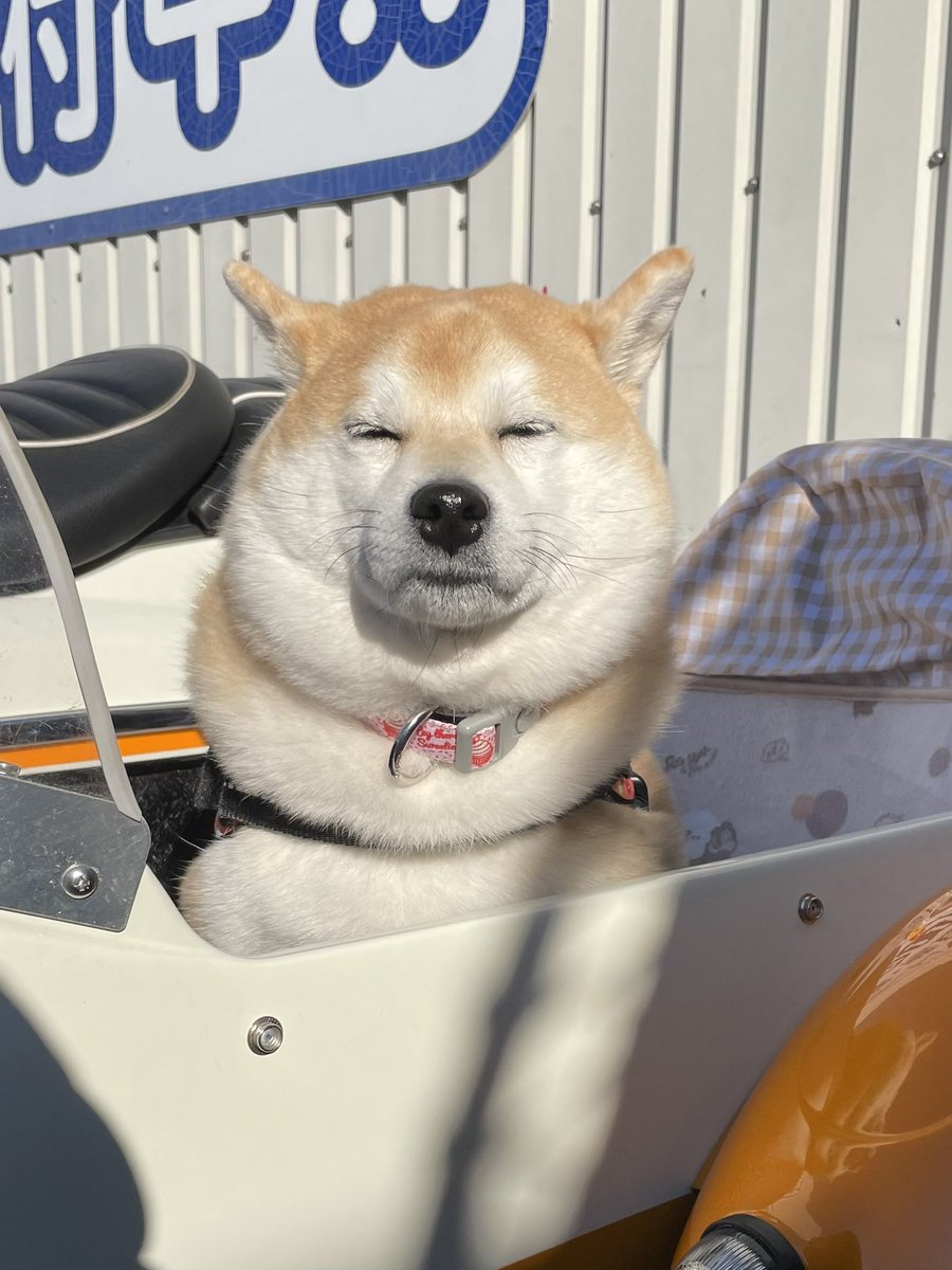 くまごろ (@kumagoro_J) / Posts / X