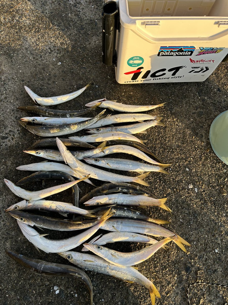 鬼いいいいぃいい tweet media