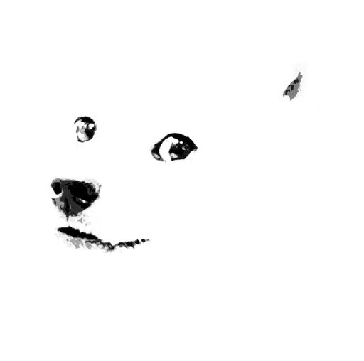 LV_6767's tweet photo. weve had all the derivs for white whale

but how have we not done a white doge yet

introducing $WOGE https://t.co/CLi7H8ylSb