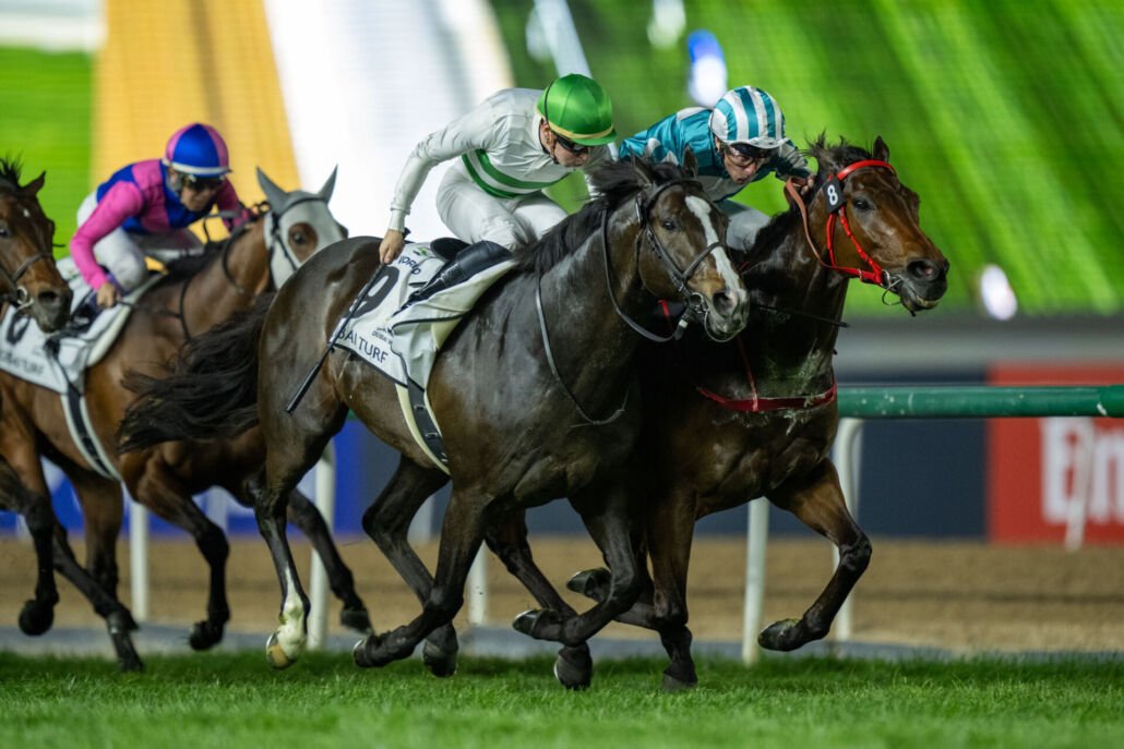 お疲れさま】ソウルラッシュが引退、種牡馬入り マイルチャンピオン