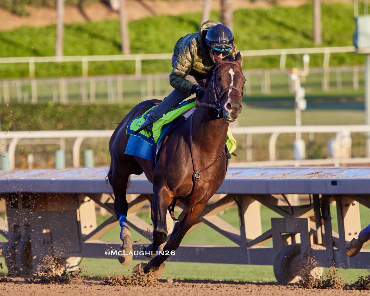 kimo16's tweet image. Cornucopian this morning 5F in 59.80 under J.J. Hernandez for trainer Bob Baffert @santaanitapark @StarlightRacing @BobBaffert @JJHernandezS19