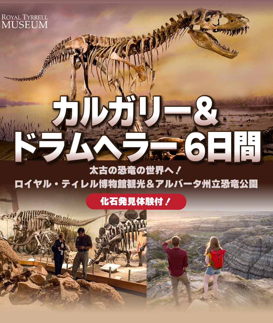 太古の恐竜の世界へ！恐竜の街🇨🇦ドラムヘラー ＆カルガリー6日間🦕

恐竜の街ドラムヘラーで2連泊！ロイヤル・ティレル博物館観光＆アルバータ州立恐竜公園で化石発見体験付！

✨本物の化石に触れたり、自分だけの“恐竜ハント”が楽しめちゃう特別体験も…！