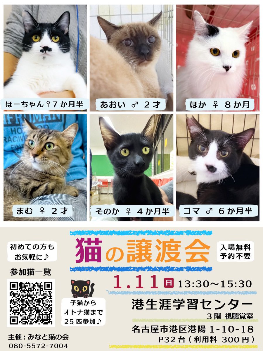 こっこ (@cocco3673) / Posts / X