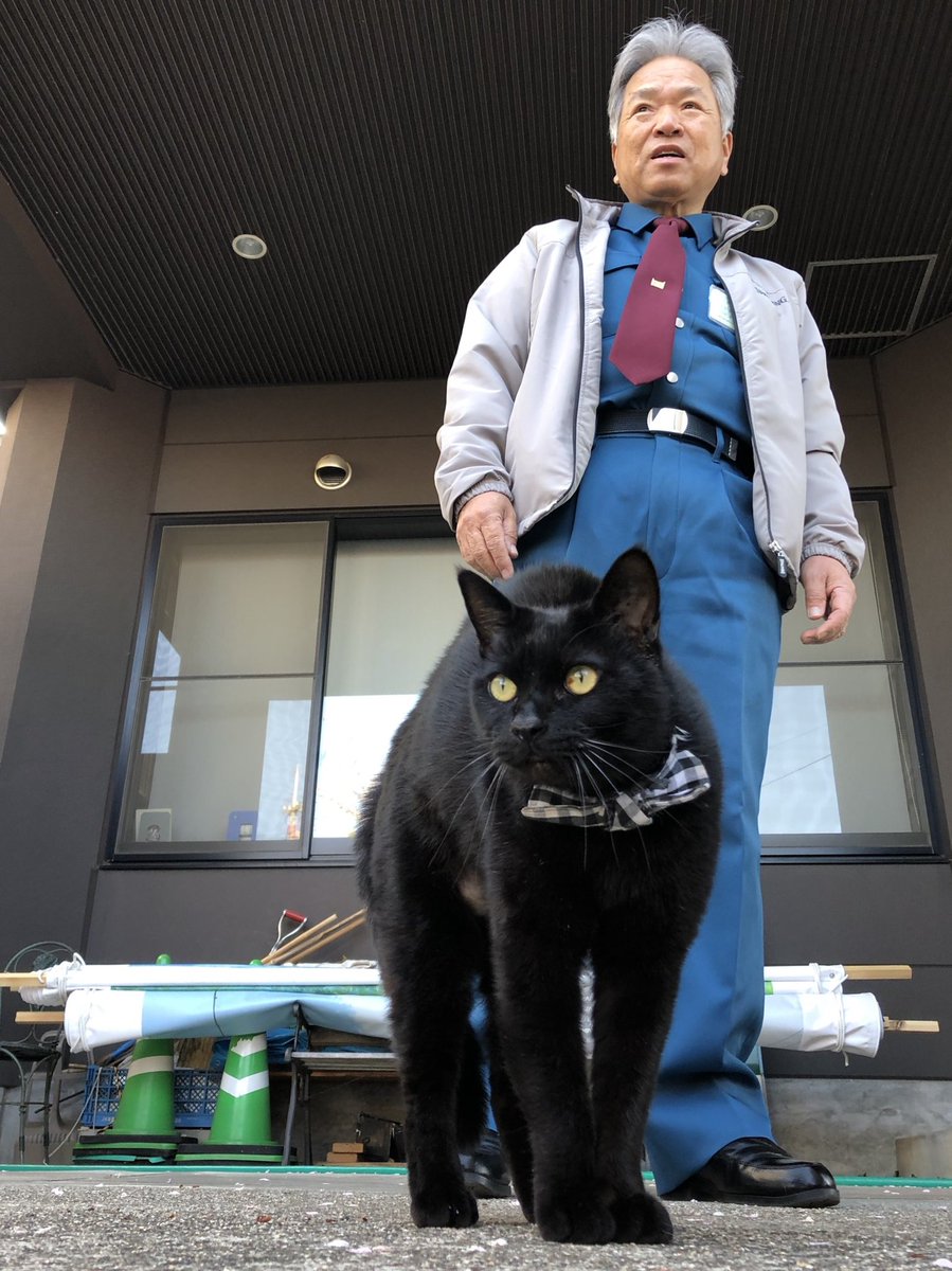 ケンちゃんの首輪は愛情の証39🐈‍⬛Ken-chan's collar is a token of