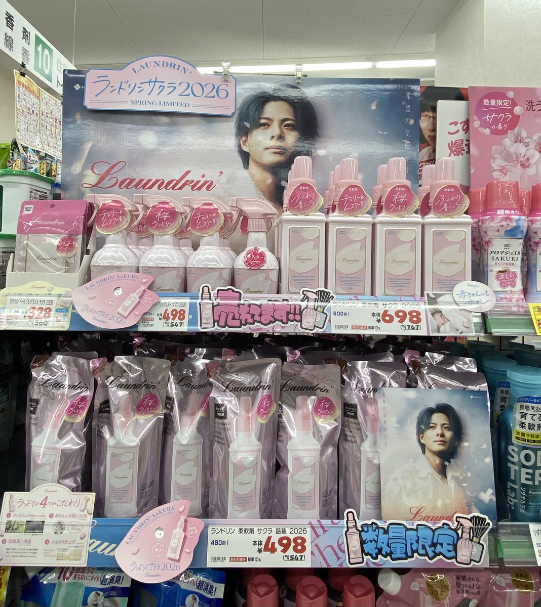 お迎えしたサクラ🌸ランドリン🌸 一気に春が広がります🌸 まさに「希望