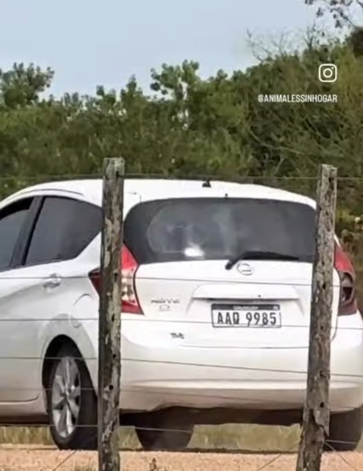 @Carlotta🐾💕 tweet media