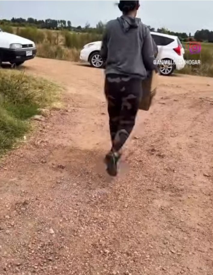 @Carlotta🐾💕 tweet media