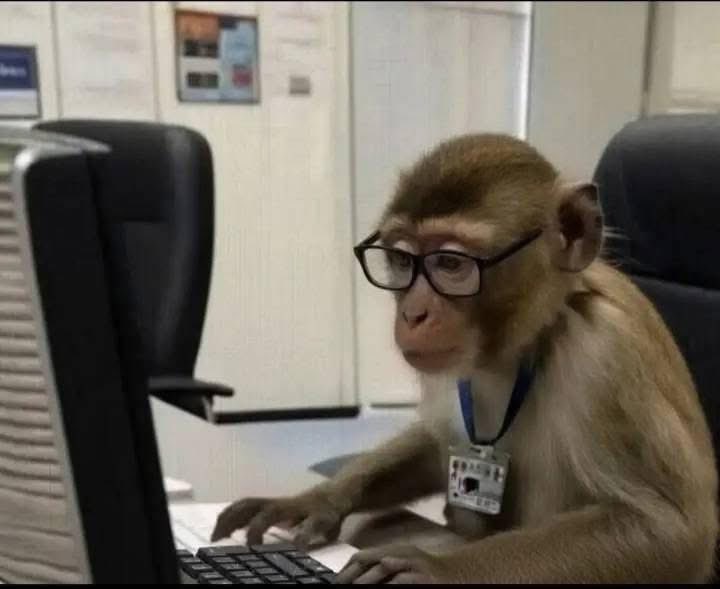 شكل اي حد يكتب " لماذا في هذا الوقت بدات "