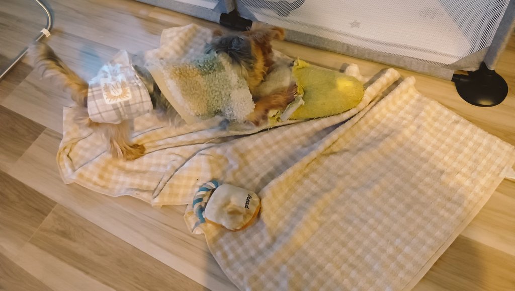 kotechikotetta's tweet photo. パンとバナナを持ってピクニック https://t.co/jYUc3jpum1
