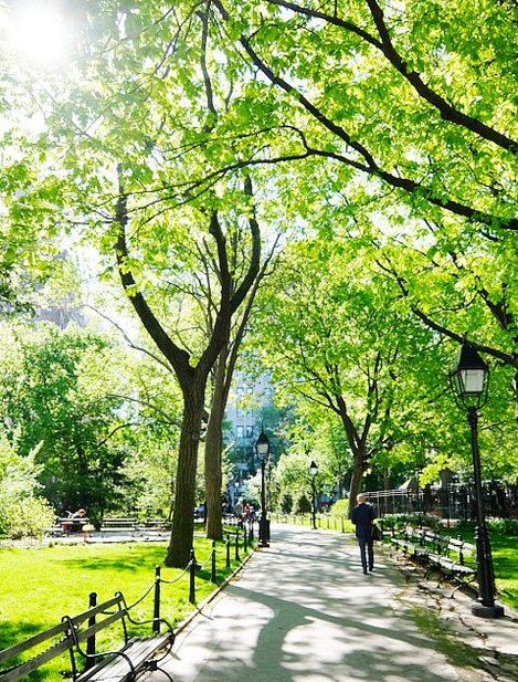 lynxcancer's tweet image. 新しいカフェでコーヒーを飲んだら、豆の香りが素晴らしくて癒された 🐆