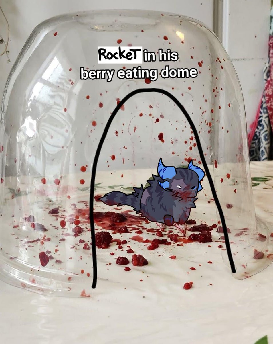 lightning15512's tweet image. dome #phighting #phightingart