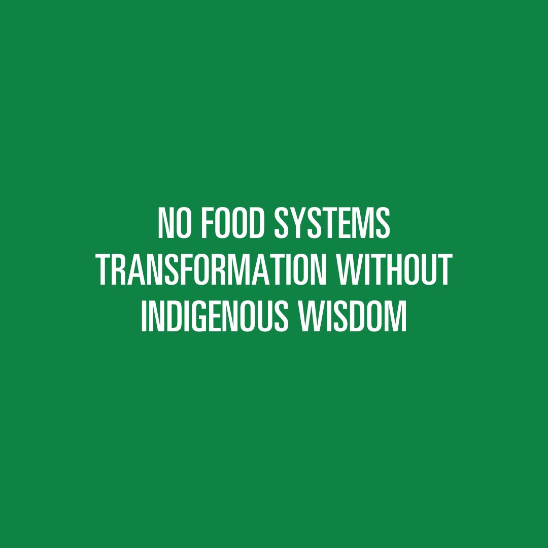 foodtank's tweet image. Indigenous knowledge is not an add-on to food systems reform. It is foundational.

New research highlights how sustainable food systems only succeed when Indigenous wisdom, agroecology, and regenerative agriculture are shaped through intercultural knowledge co-creation. For many…