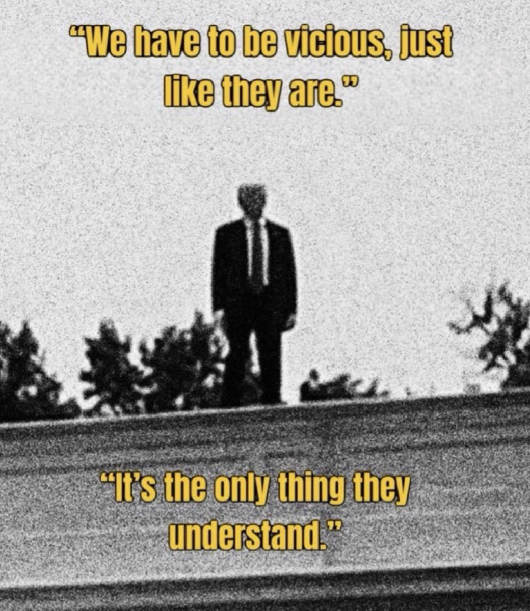 loganclarkhall's tweet image. 