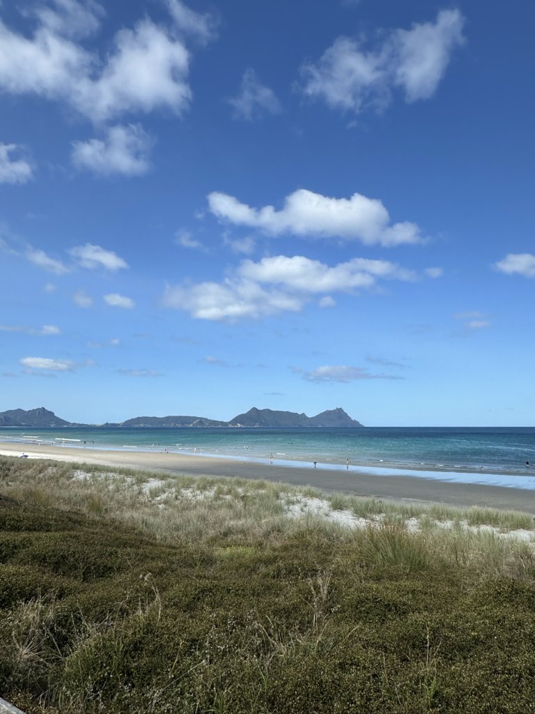 UM from Ruakaka, New Zealand ☕️ 
(Useless Morning)

Still here.
Still bullish.
Still $USELESS.

The road to billions is nigh.