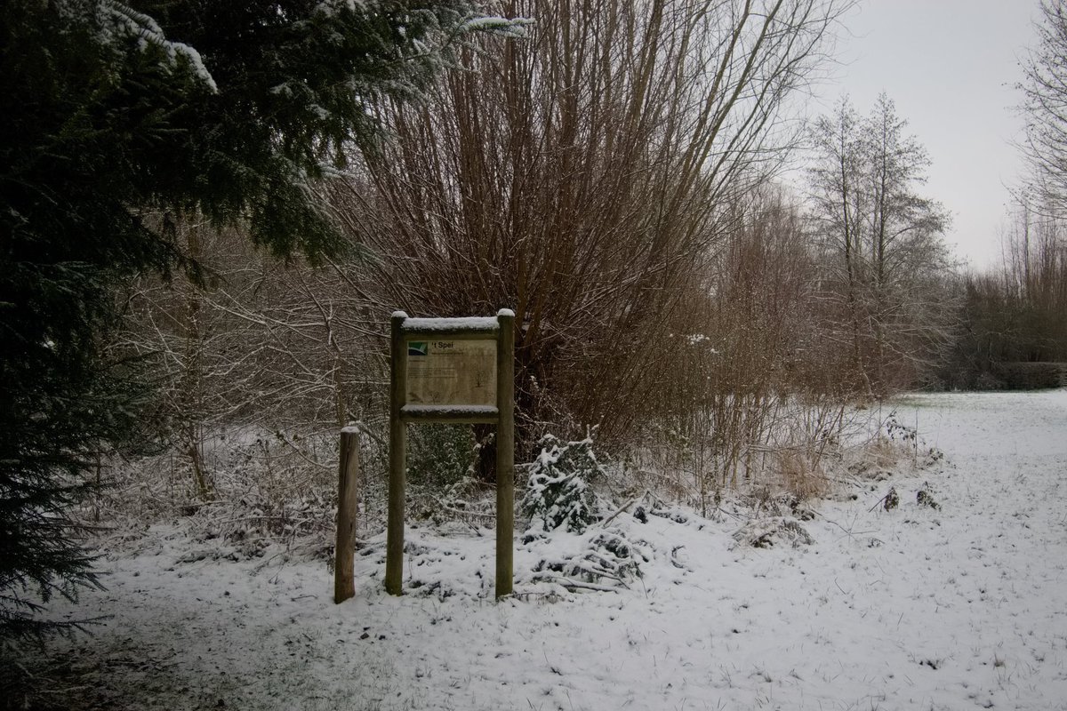 autistic_pal's tweet photo. OH SNOW, I will miss you. https://t.co/2366gSW70l