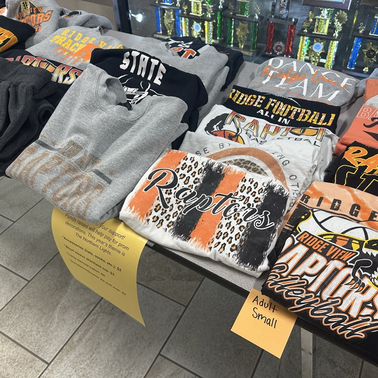 Ridge View Raptors tweet media