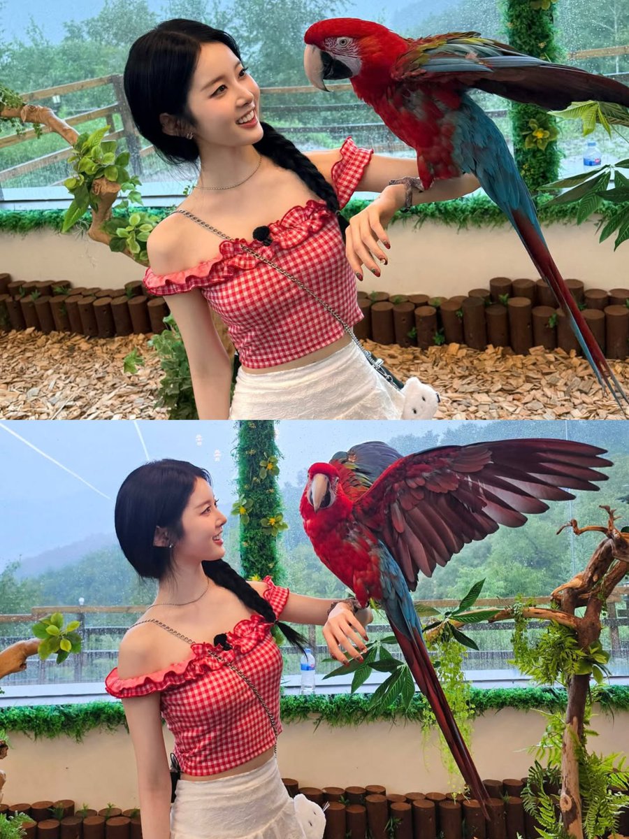 sieum's tweet image. tr✿pical / nature / wings / summer 🍎🎏