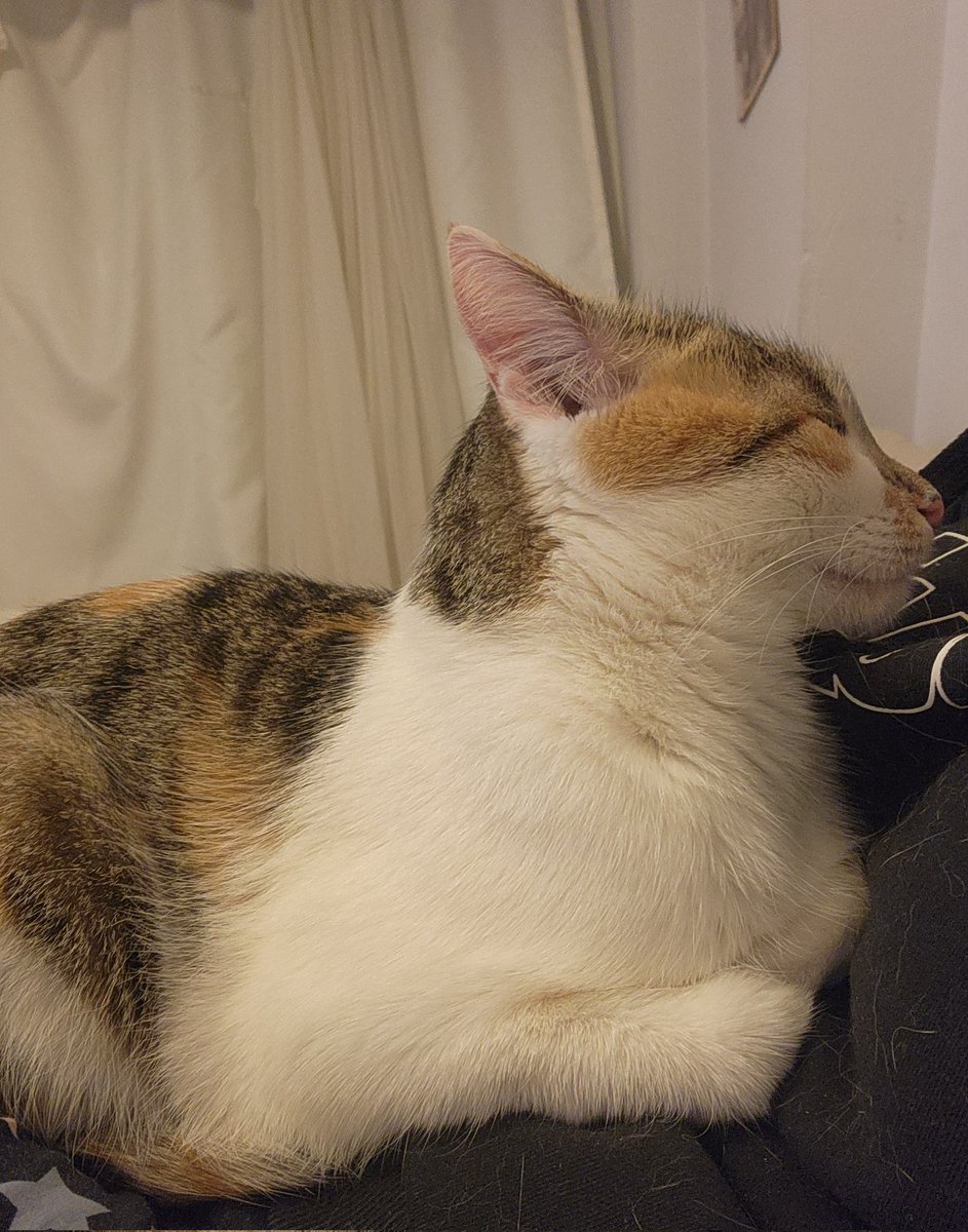 Karnımda uyudu...rahatsız olmasın diye nefes alamıyorum imdat