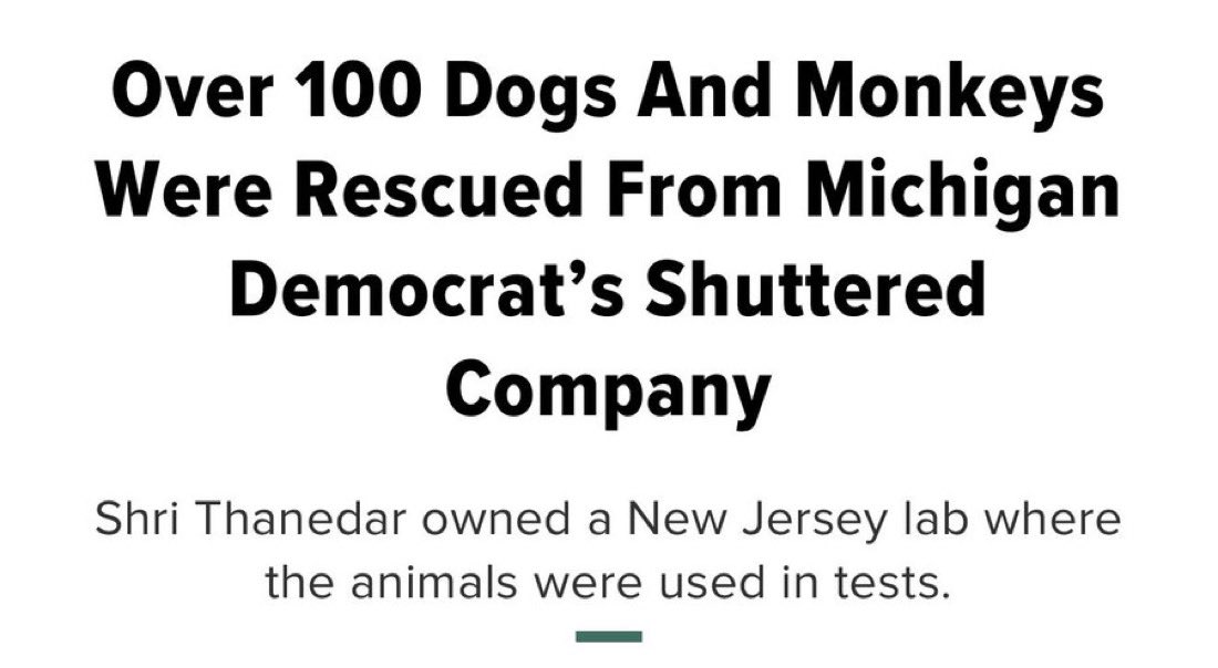 mattvanswol's tweet image. Shri,

Why did you cut off 118 beagles from food and water during June of 2010 and left them to die?

Why did it take the employees you fired to SCALE THE WALLS of your abandoned facility to save them because the 170 dogs and monkeys were stuck inside without water or food?…
