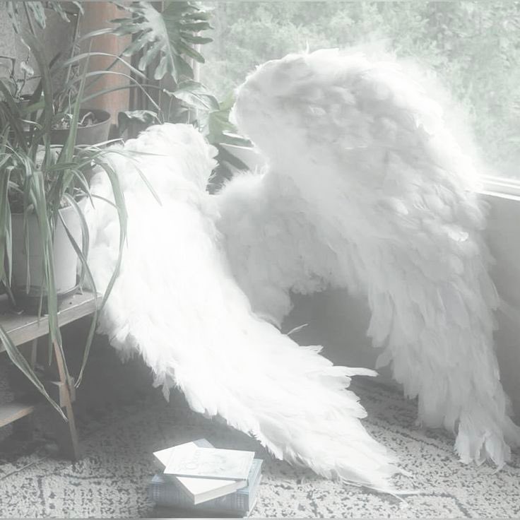 R4INYDI0R's tweet image. #minsung au
Sacrifício mundano: Do sangue escorre a graça; do corte surge a asa.

Em um mundo que cada ser têm seu anjo, onde anjos e humanos são separados por uma camada de pecados vulgares, um dos defensores se encanta por seu protegido e enfrenta deus por amá-lo intensamente.