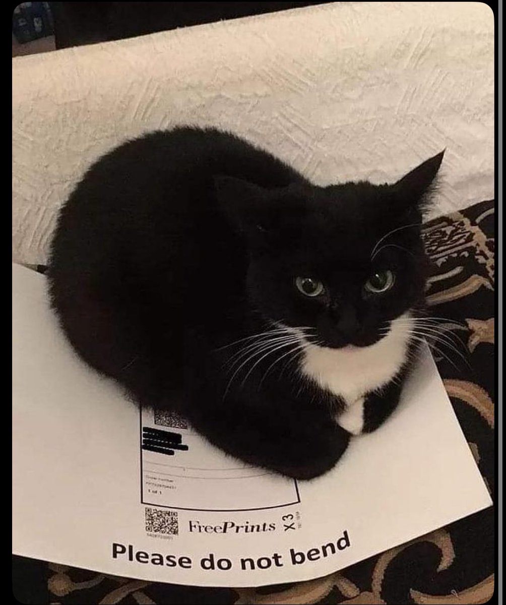 luckfau's tweet image. Woman training me at my new job told me she had a thing for Mexicans before she got married….I’m Mexican.