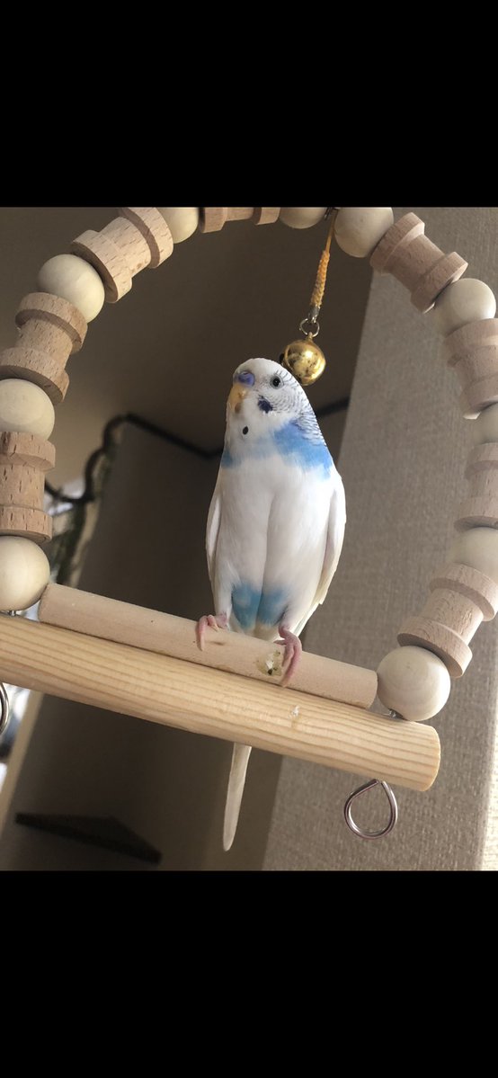 YGO_sukisukipi's tweet image. ぴいすけ♂です！

是非(◍︎´꒳`◍︎)