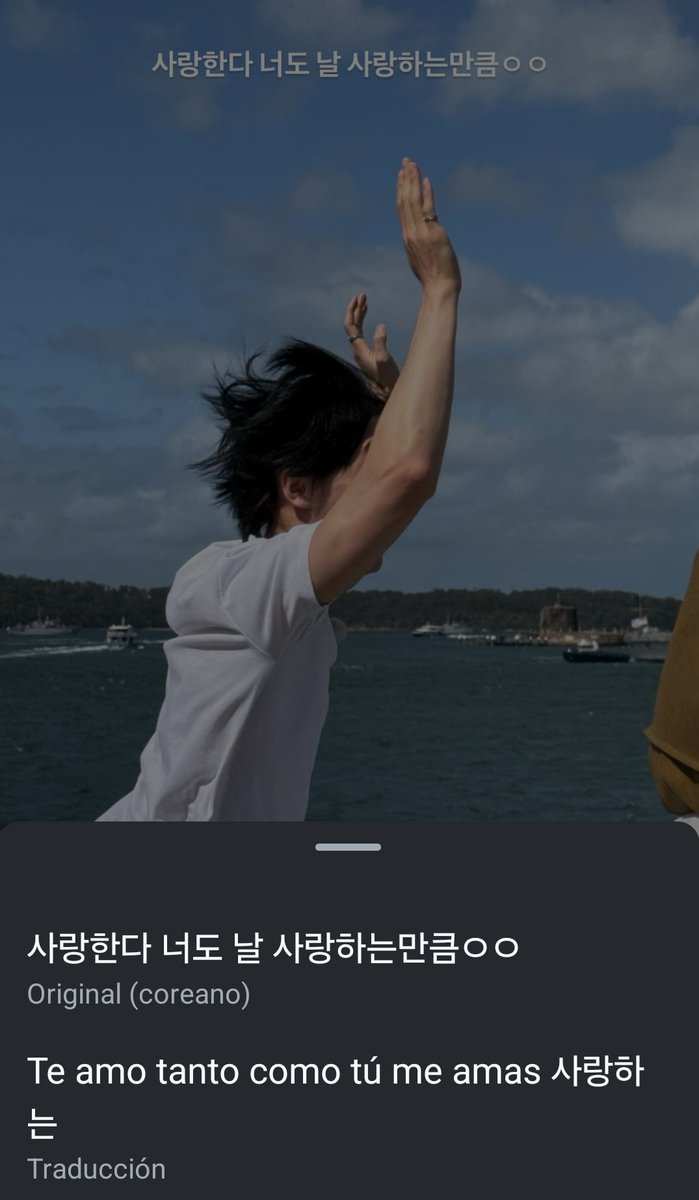 _lvshyunin's tweet image. the idols                                  what they said