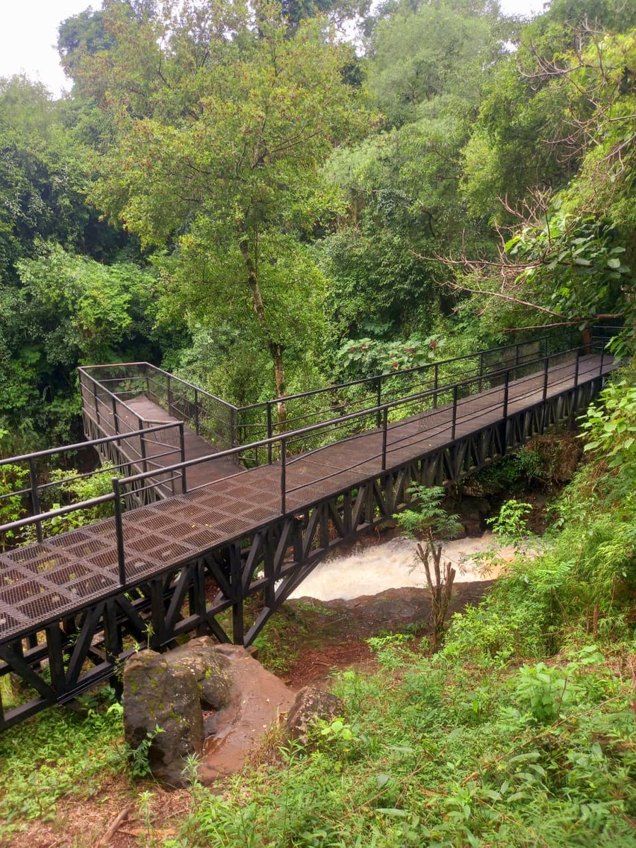 Ecolodge "Salto la Gloria" Cerro Azul...belleza! 🥰🌸