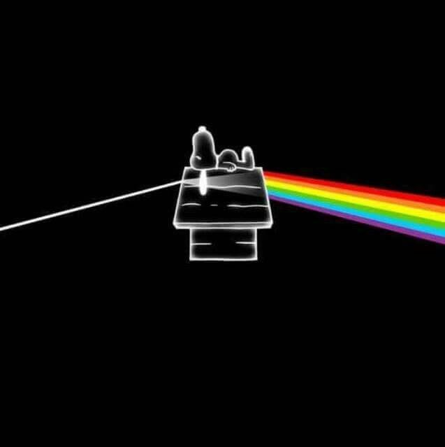 Pink Floyd snoopy