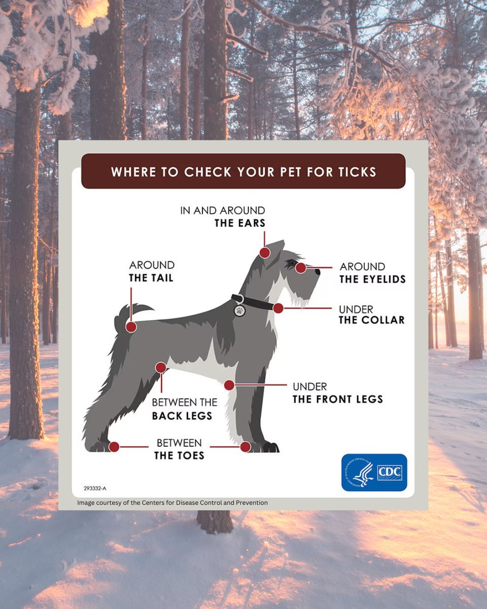 VectorED Network tweet media