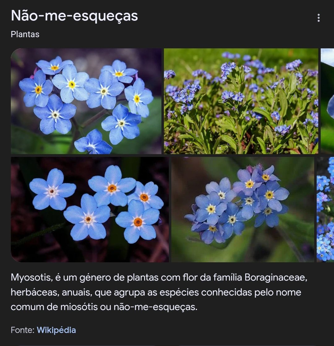 s2toruns's tweet image. eu não tô louco, esse vaso de flores que o satoru tem na sala dele na s3 é um vaso de flores de velório, igual as que ele levava na op2 vivid vice. no vaso tem miosótis, uma flor que simboliza memória e lembranças, amor que permanece, laços que não se cortam, saudades de alguém +