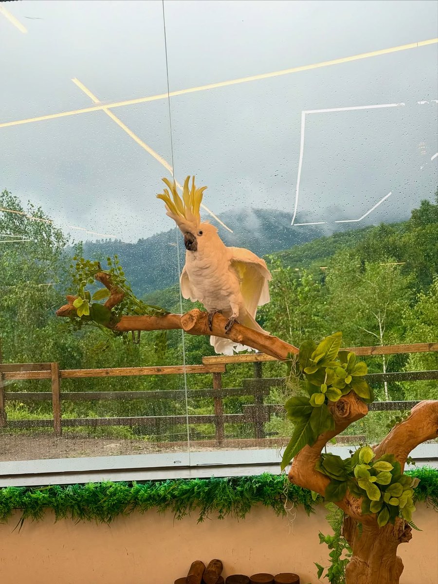 sieum's tweet image. gather &amp;amp; feast! there’s something so special about sharing a meal around a low table, passing plates, and enjoying the heat of a fresh cookout. it’s not just about the food, it’s about the connection. 🥘🥢🍚