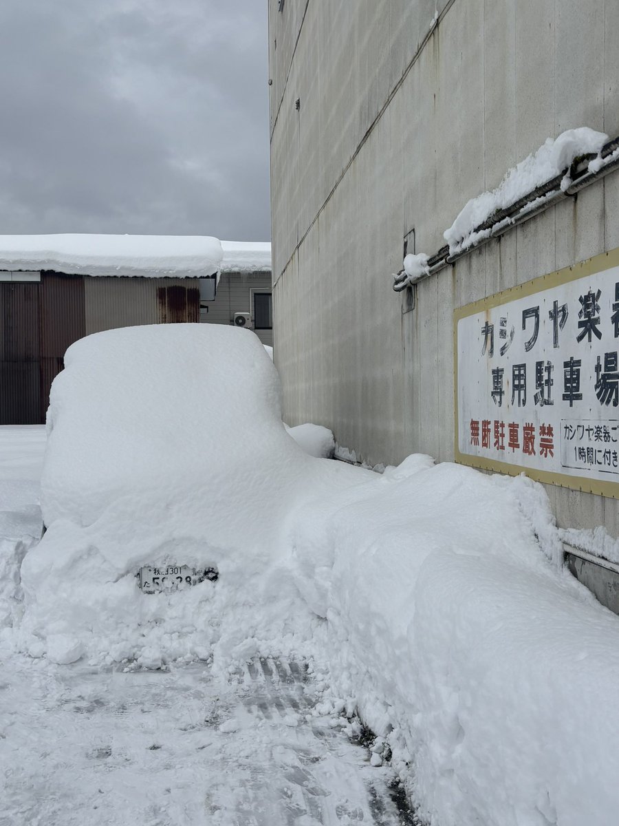 横から見ると、それ程の雪ではないですが。