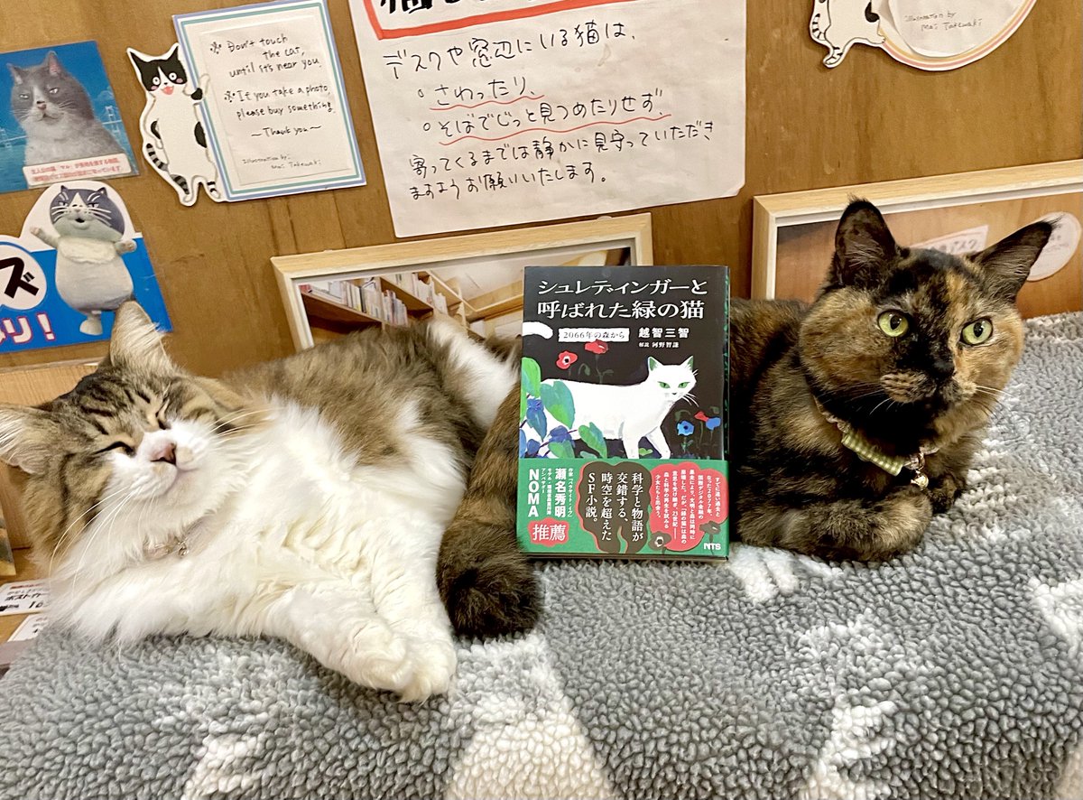 シュレディンガーと呼ばれた緑の猫』は、文明の電源のプラグが抜かれ