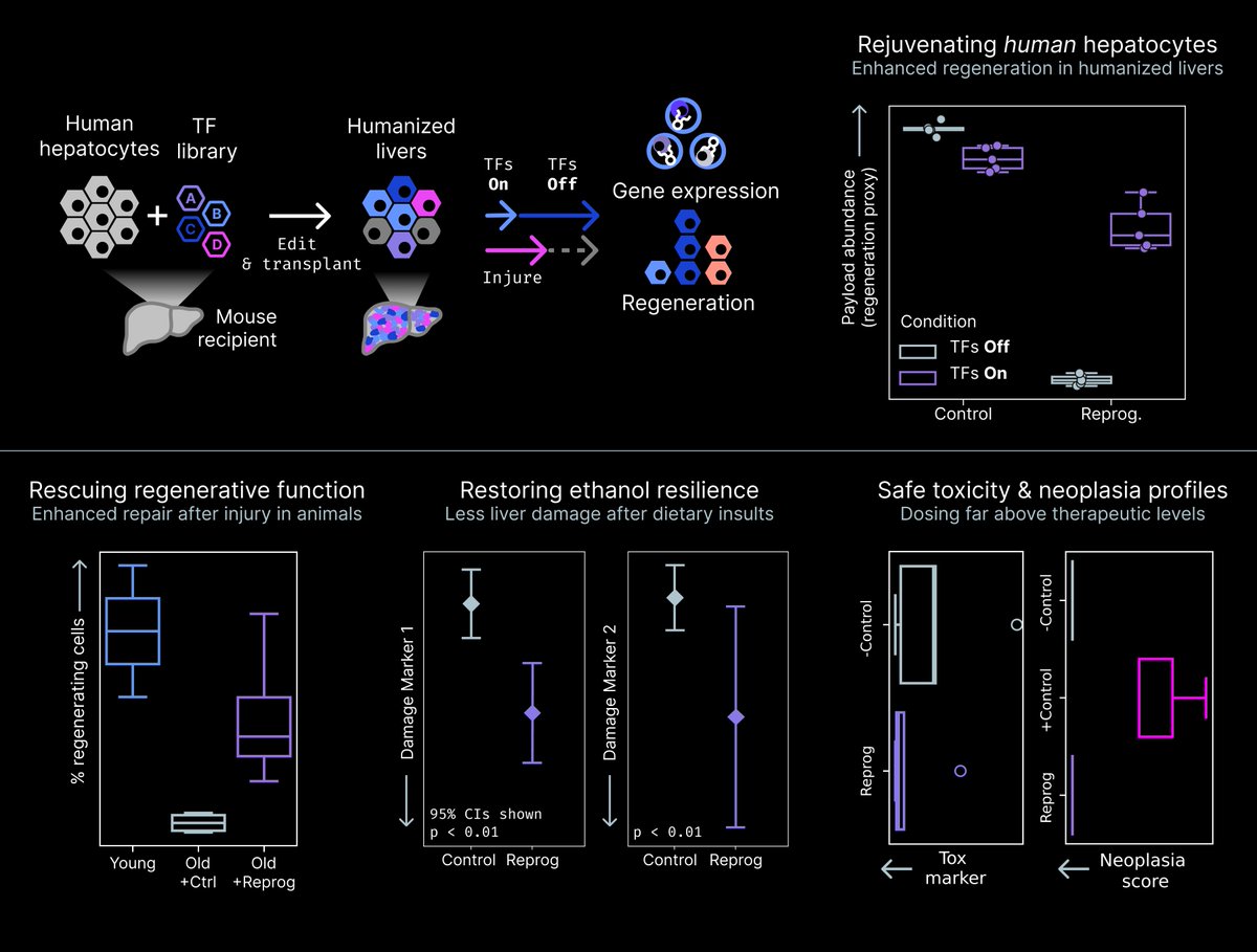 Jacob Kimmel tweet media