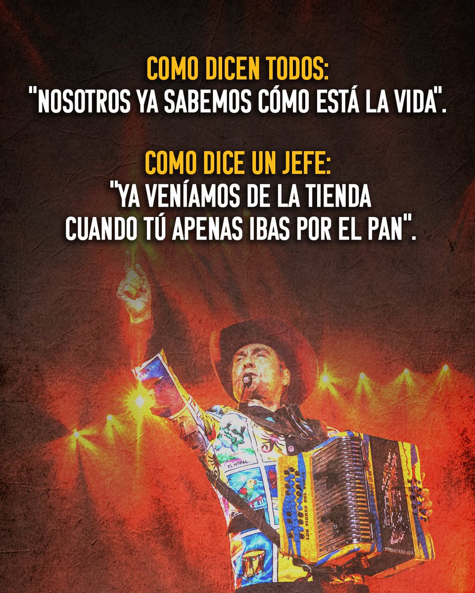 CD Display Case by Studio Décor®, image size:960x1200