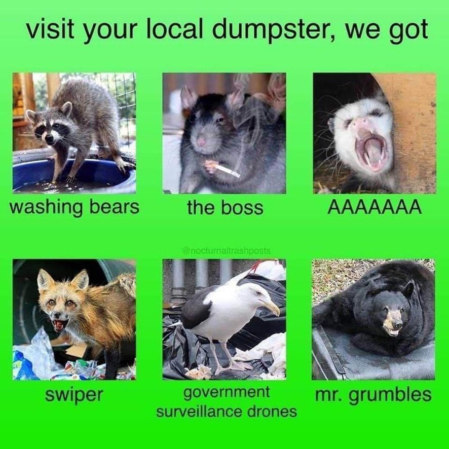 DeathPoss's tweet image. 