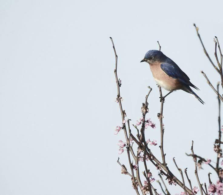 اللهم ارزقني رحمةً مبصرةً، أُحبّ فيها ما تحب، وأُبغض فيها ما لا تحب، وأرحم الناس فلا أنشغل بأحدٍ عن آفات نفسي، ولا أجعل آفاتِ نفسي حجابًا بيني وبين السعي إلى مرضاتك، وأن أكون رقيقةَ القلب، معافاةً، دانيةَ الدمعة، راضيةَ السريرة، والخلوة، مستغنيةً بك عمّن سواك.