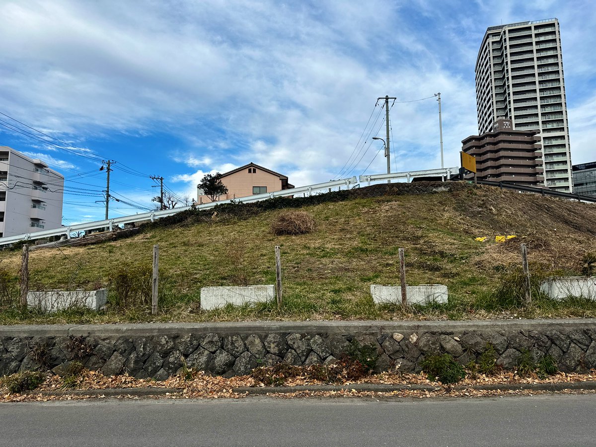 遊んだ跡？ #葛 #蔓 #のりっぱ