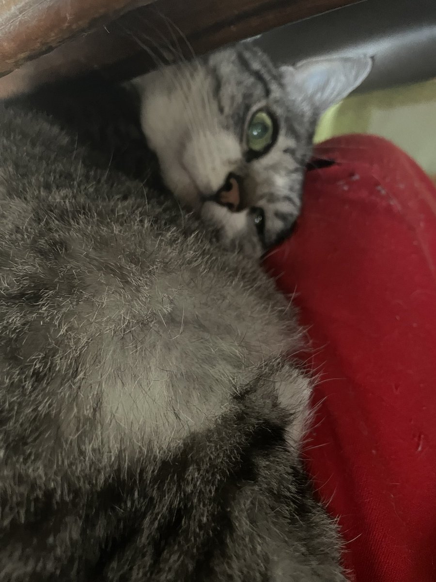 リュウコさん (@fanta326) / Posts / X